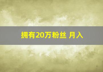 拥有20万粉丝 月入